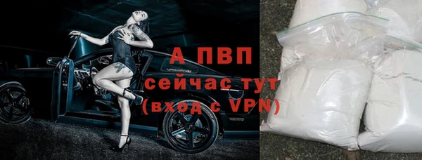 mdpv Богородск