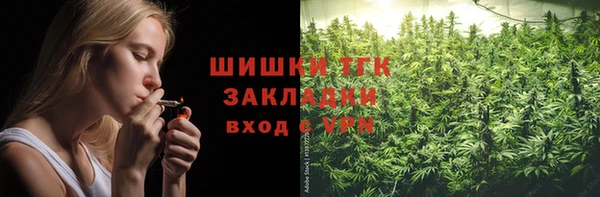 2c-b Бородино